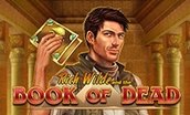 Book Of Ra Dead автомат